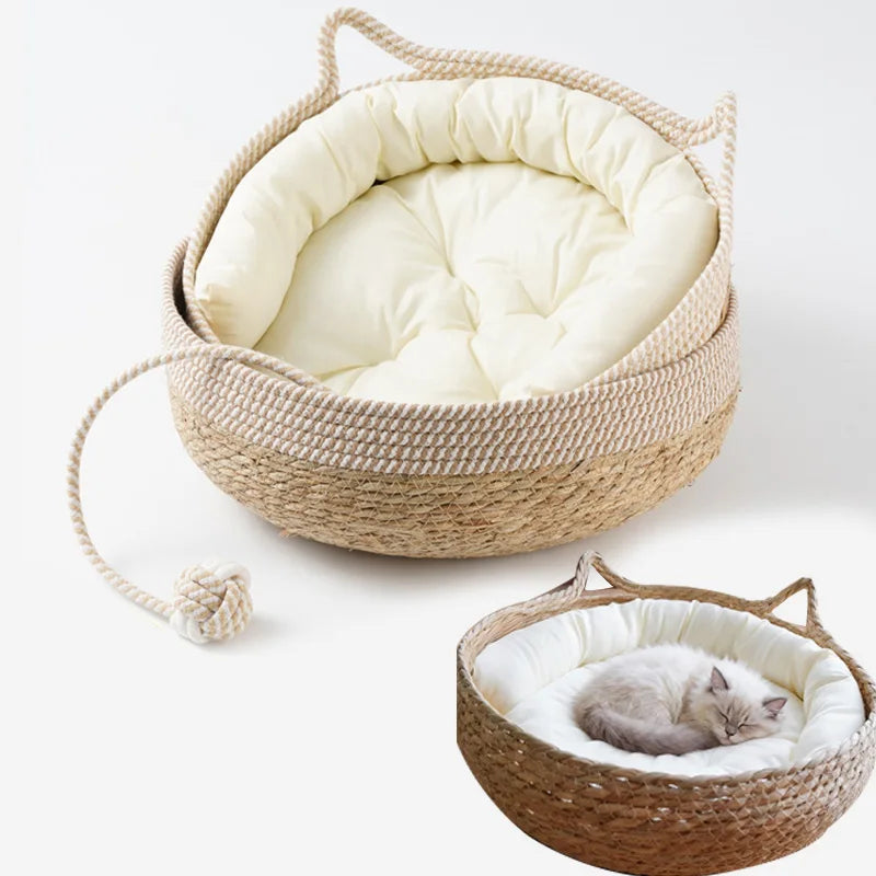 Cat resting in woven bed