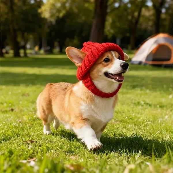 Red dog hat with ear flaps