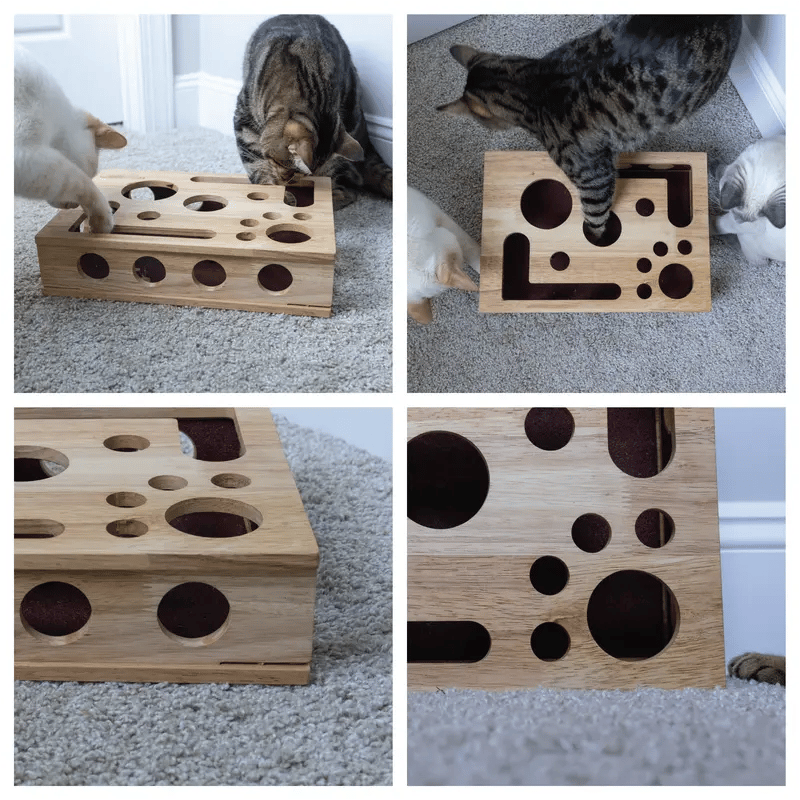 Cat playing with wooden puzzle box