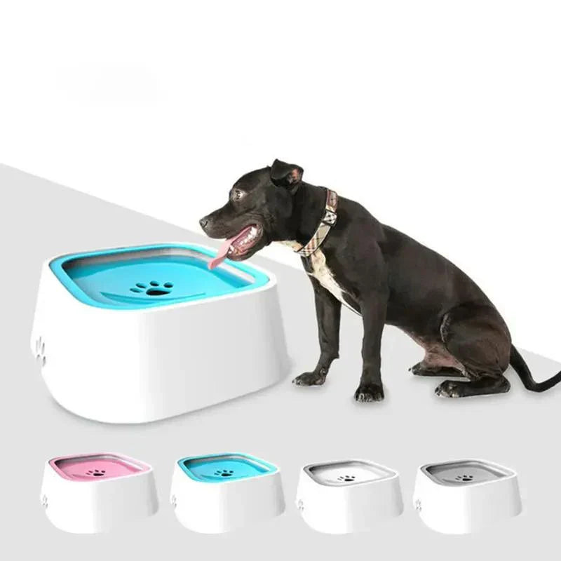 Dog drinking from splash-free bowl