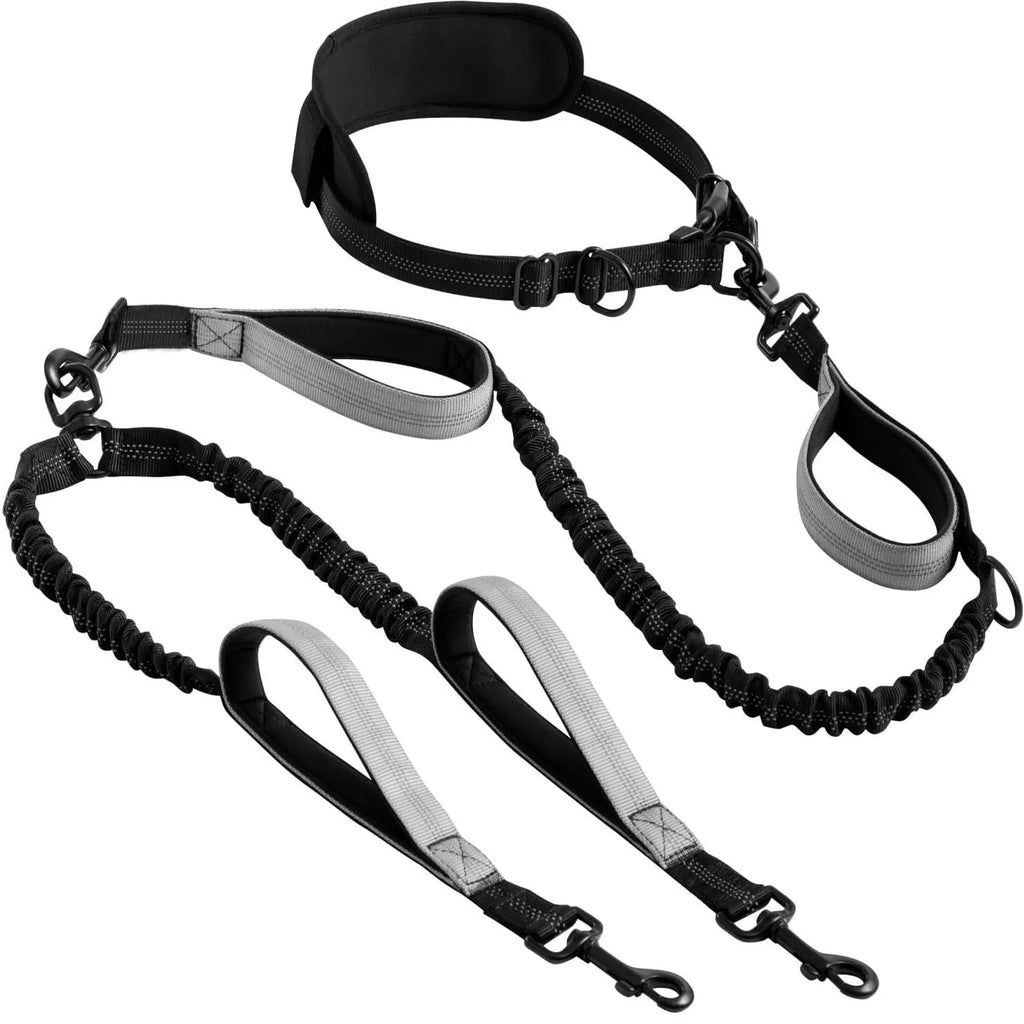 Double dog leash colour option
