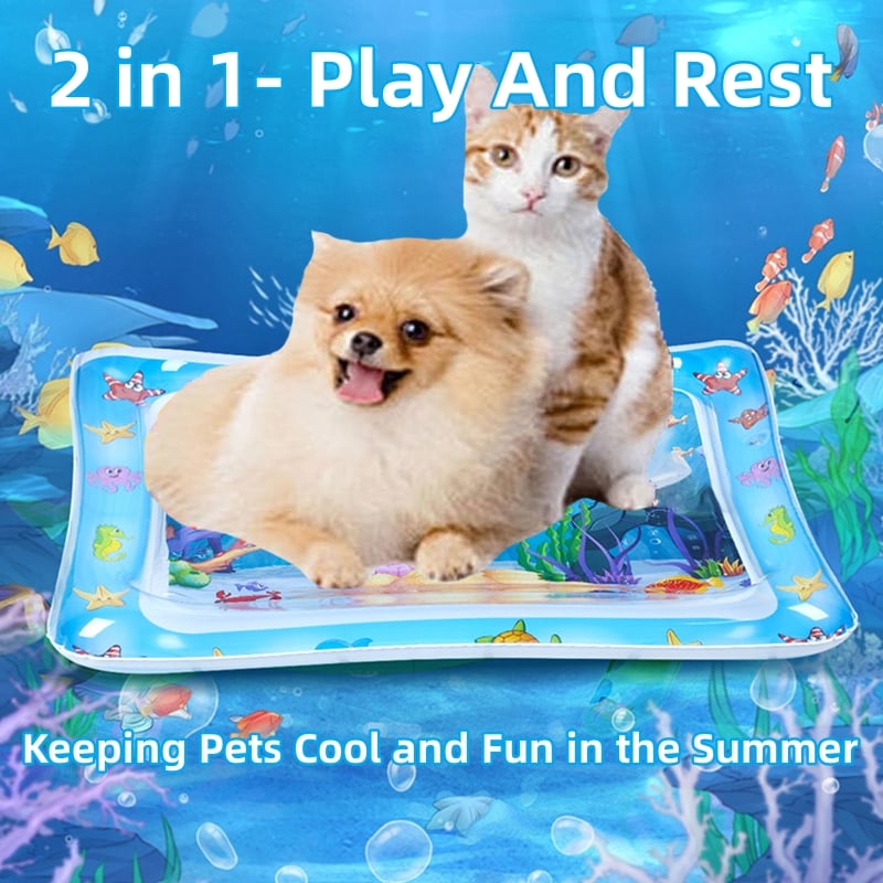 Cat pawing at floating sea animals