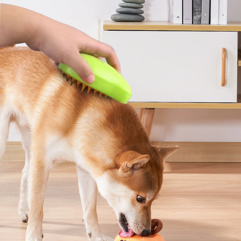 Pet steam brush in green