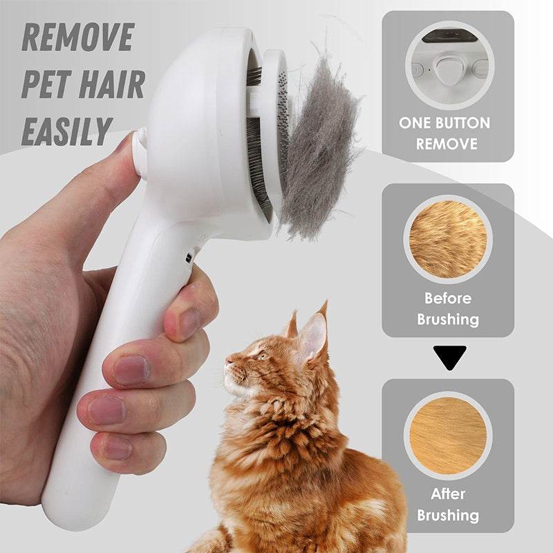 Removing loose cat hair with spray brush