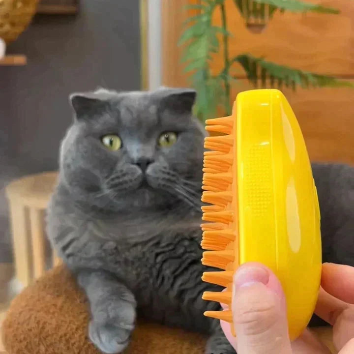 Brushing a cat with steam brush