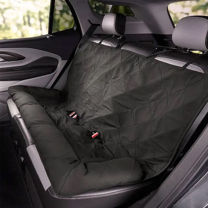 Black back seat dog car lounge