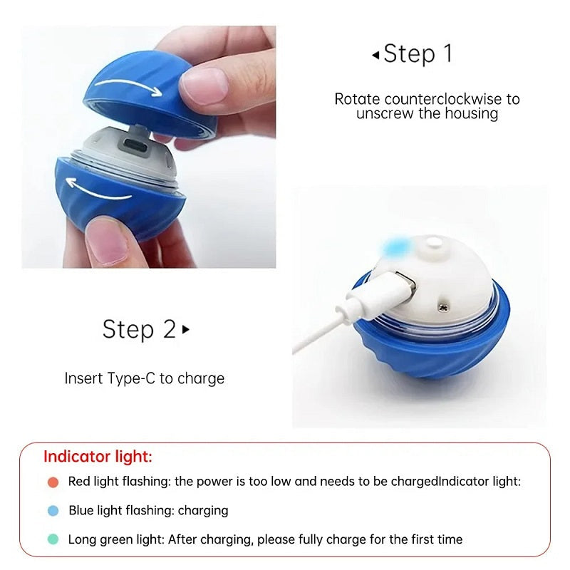 Charging instructions for the ball toy