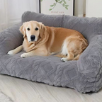 Pet sofa bed in living room