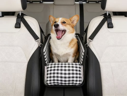 Small dog travelling in car seat