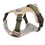 Dog harness and leash set