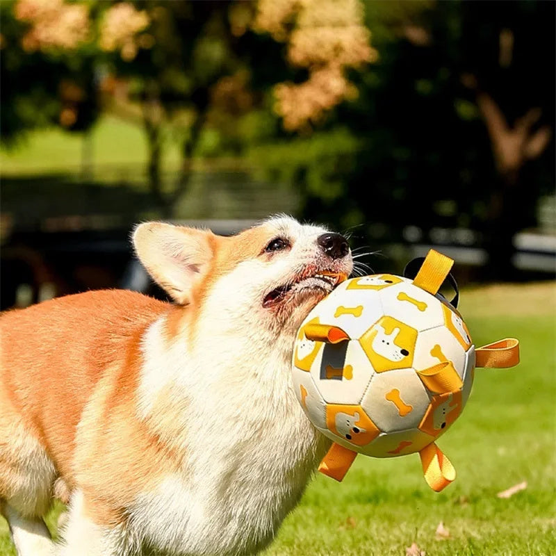 Inflatable dog football with grab tabs