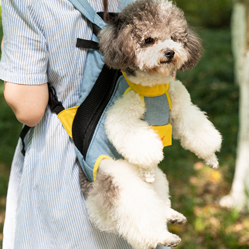 Pet carrier colour options