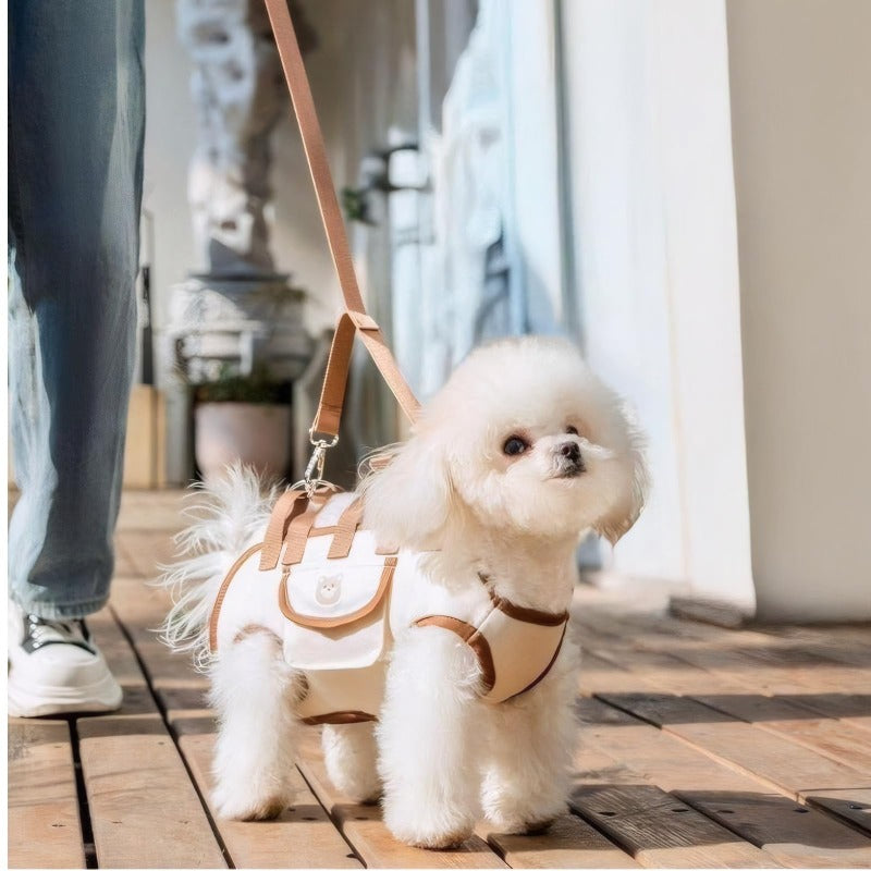 Small dog in wearable carrier