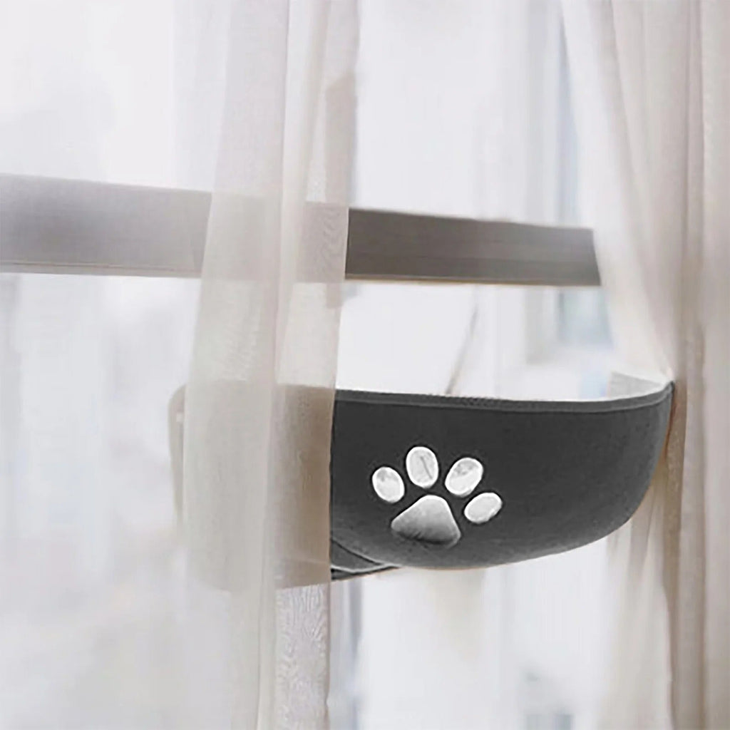Cat resting on window perch