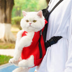Cat in a front carry pet backpack