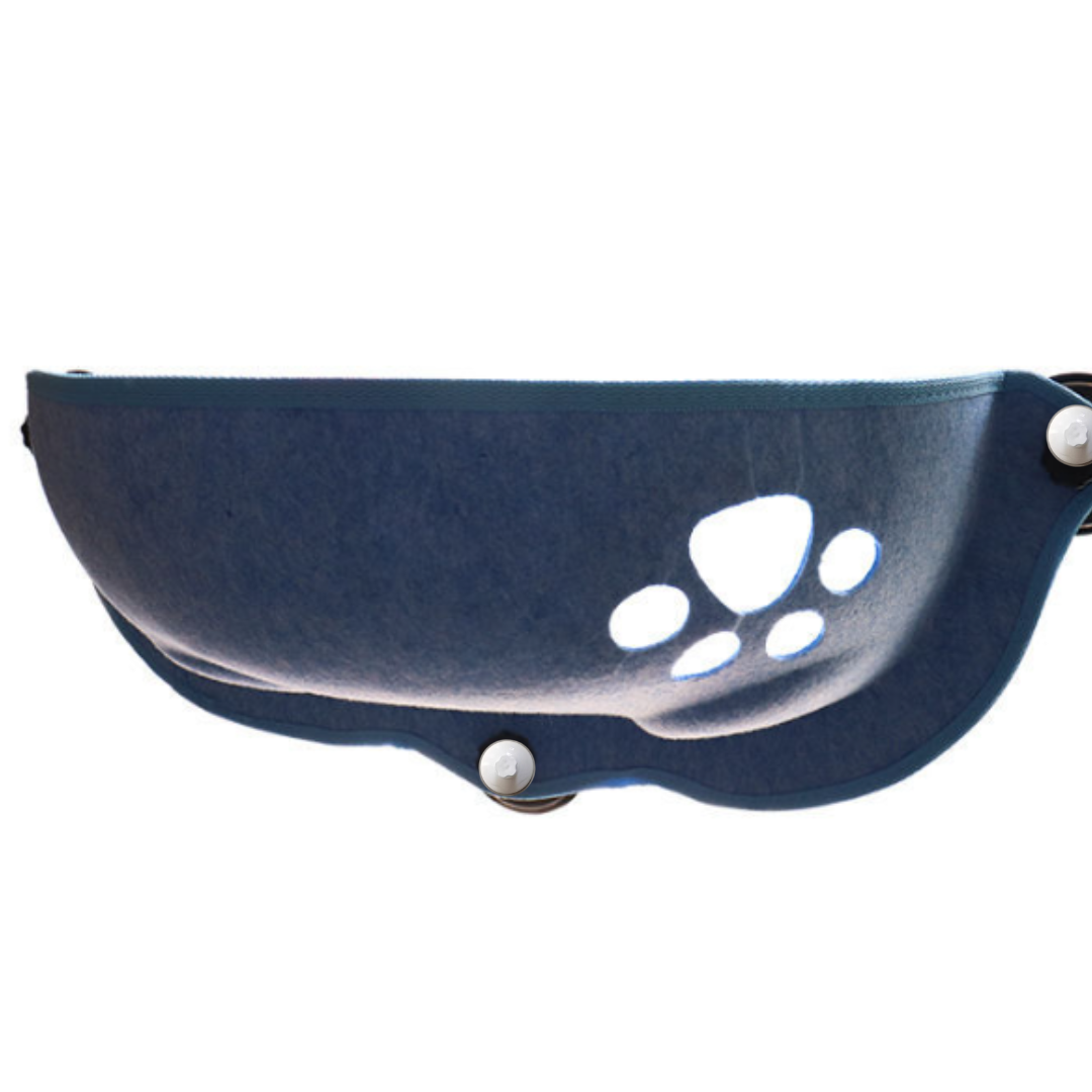 Cat window perch in blue
