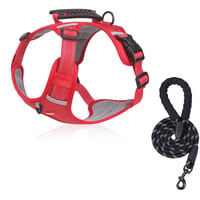 Red dog harness with reflective rope leash