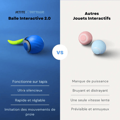 Balle Interactive 2.0 pour Félins