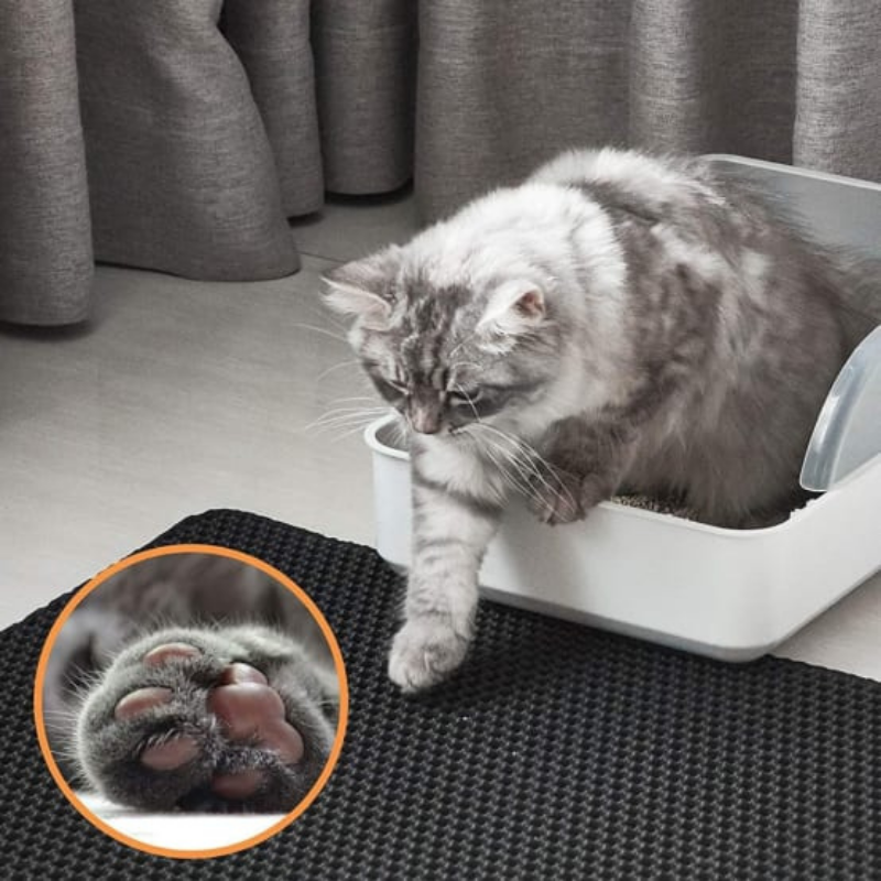 Cat litter mat detail