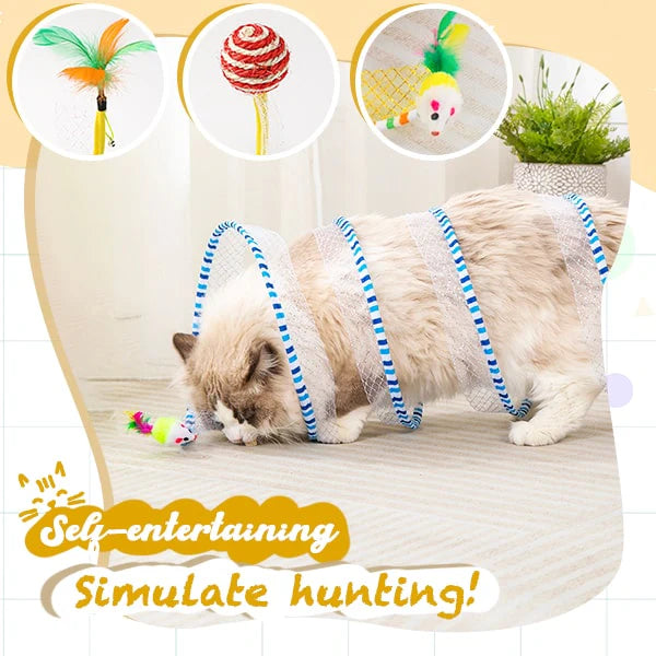 Cat playing in tunnel