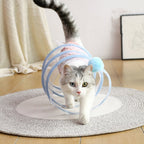 Cat playing with sisal toy