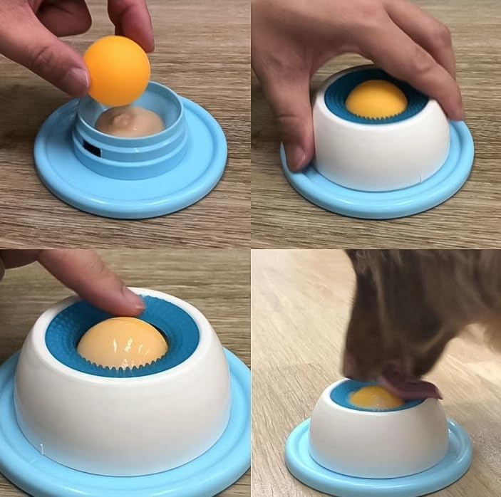 Cat using lick bowl
