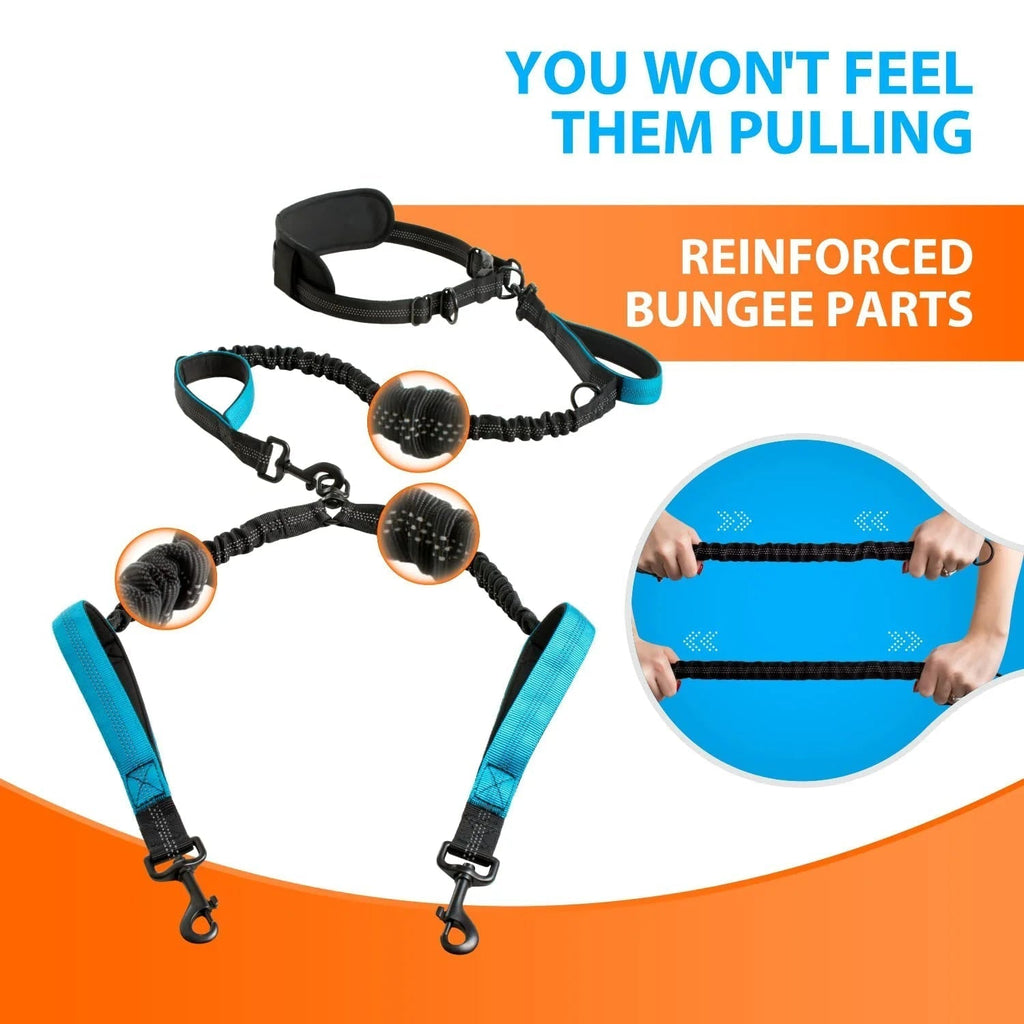 Hands-free double dog leash with waist belt