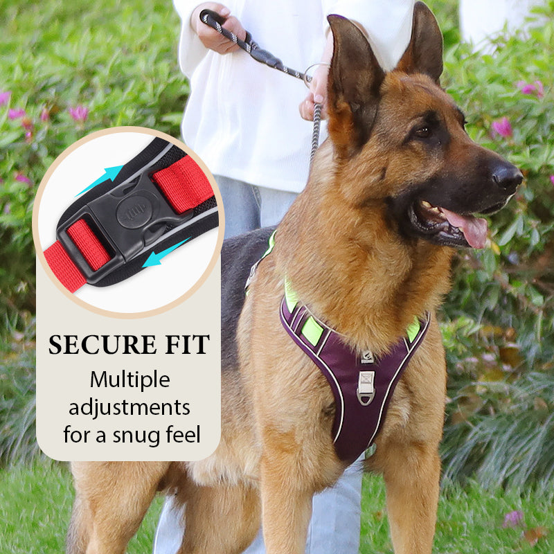 Adjustable harness straps for a secure fit