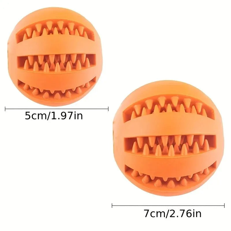 Dog playing with chew ball