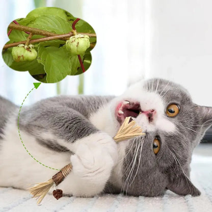 Bâtonnet à Mâcher pour Chat