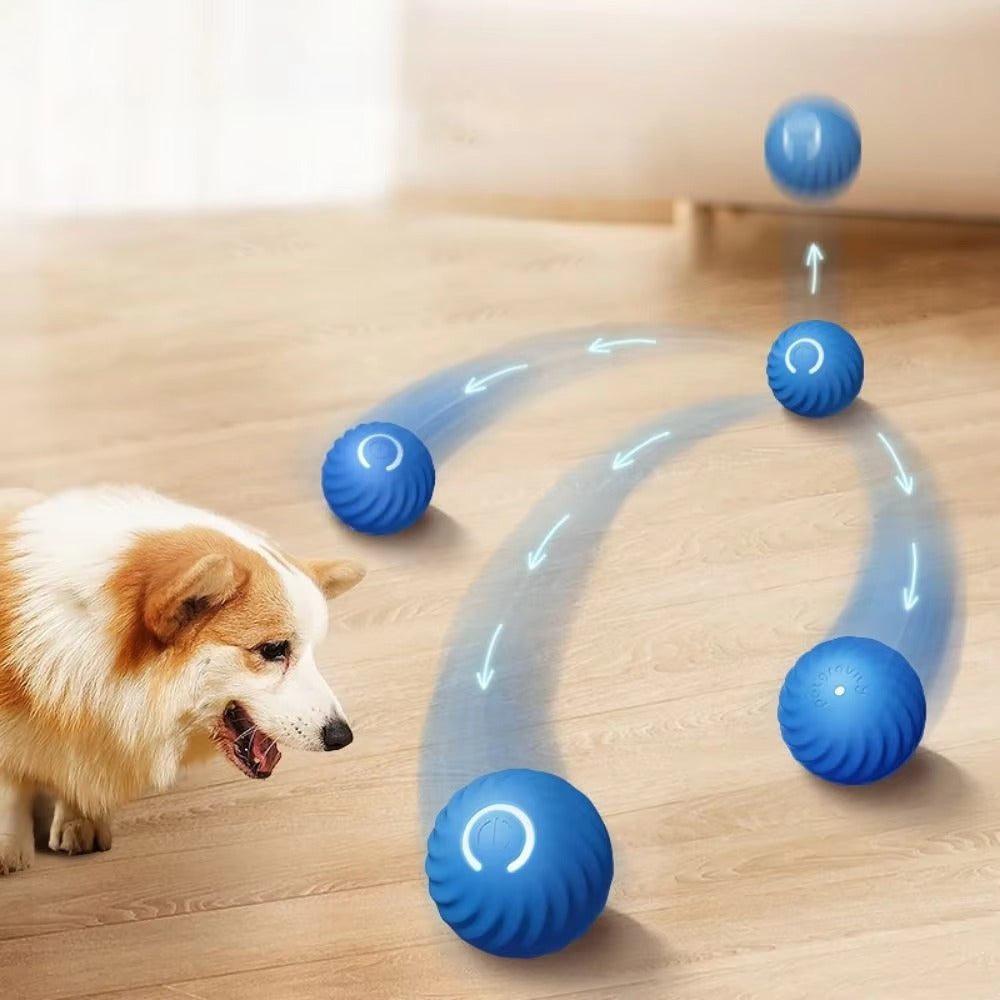 Automatic moving dog ball in blue