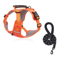 Orange dog harness with reflective rope leash