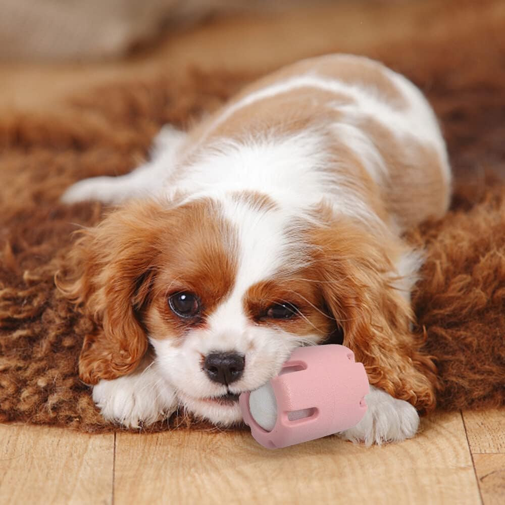 Dog with tennis chew toy