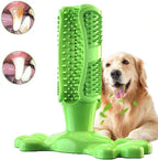 Dog toothbrush chew stick