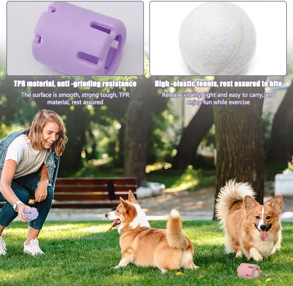 Tennis chew toy colours