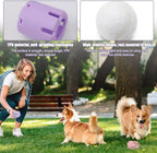 Tennis chew toy colours