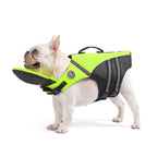 Neon green dog life jacket