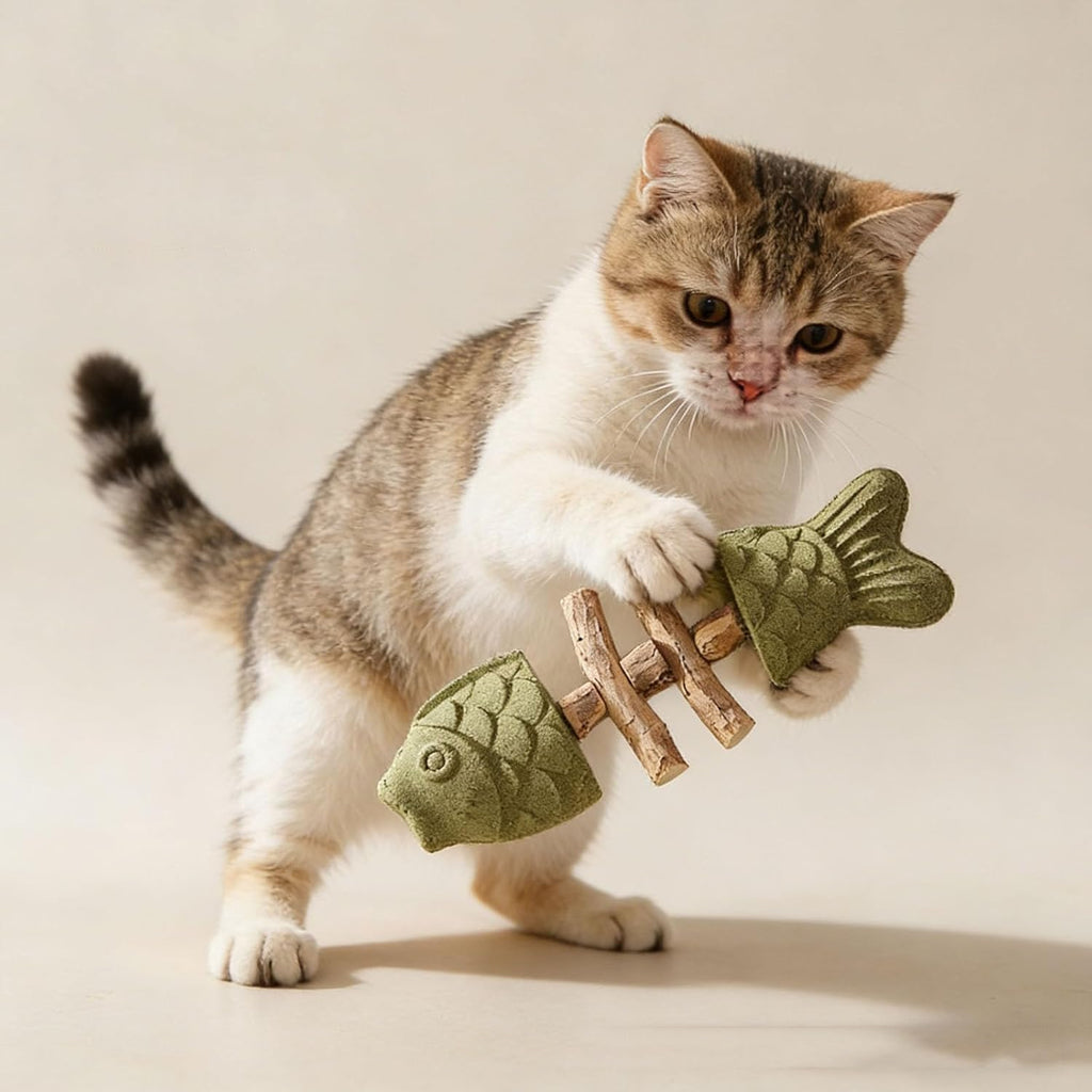 Cat chewing silvervine toy