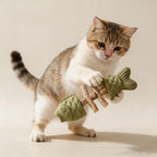 Cat chewing silvervine toy