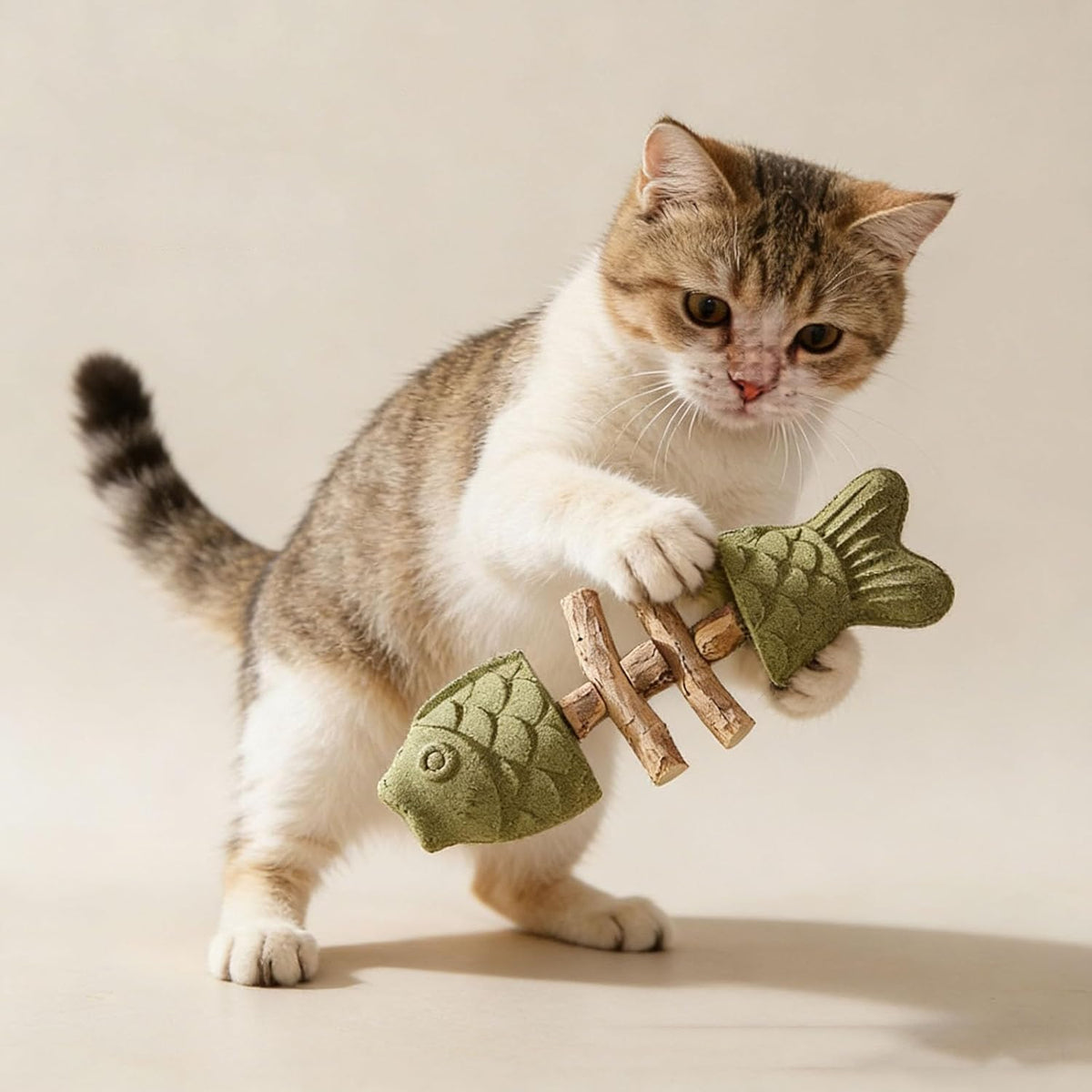 Cat chewing silvervine toy
