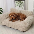 Small dog on pet sofa bed