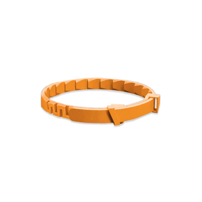 Flea Collar for Dogs & Cats | Waterproof & Adjustable | 8-Month Protection | Flexible Silicone-TPE Material