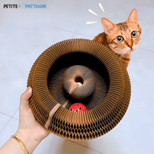 Jouet Interactif pour Chat – Balle et Griffoir