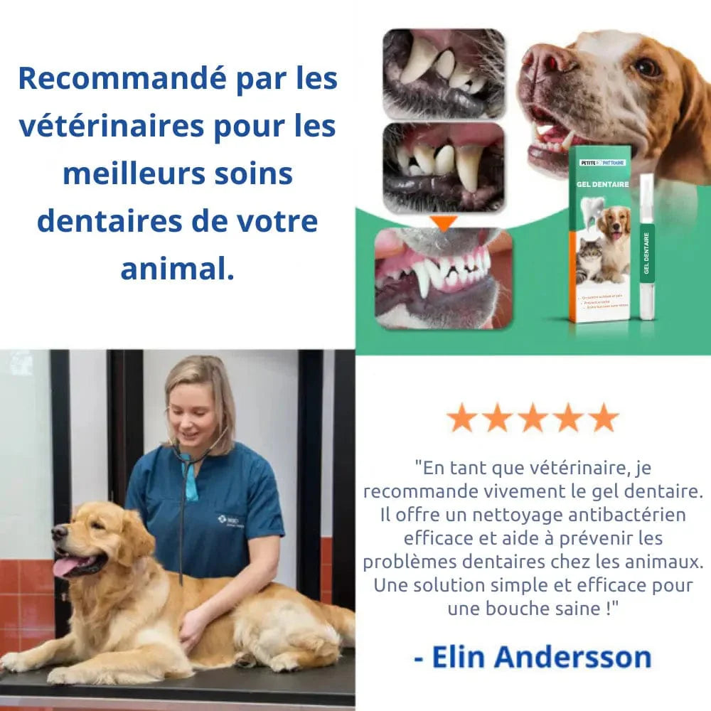 Gel Dentaire Professionnel pour Pattounes