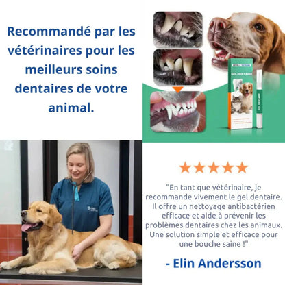 Gel Dentaire Professionnel pour Pattounes