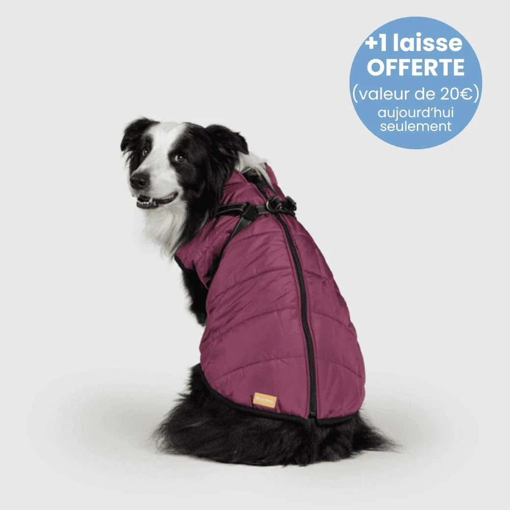 Manteau pour Chien Imperméable