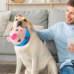Interactive bouncing plush pet toy