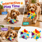 Small dog playing with plush frisbee