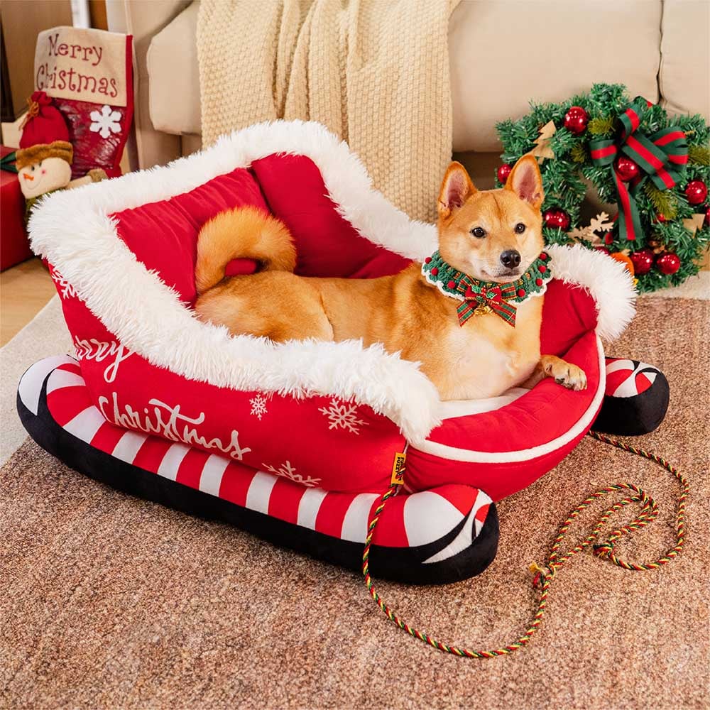 Festive dog bed