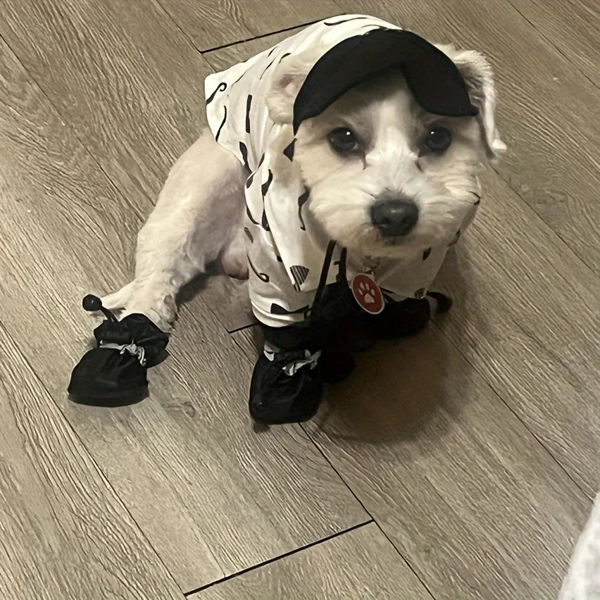 Dog wearing boots outdoors